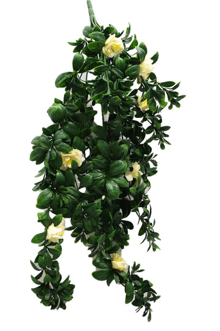 Hanging White Rose Stem Only
