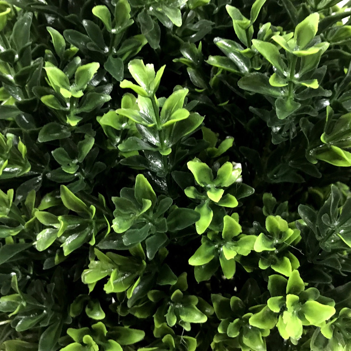 Artificial Topiary Shrub (Hedyotis) 50cm