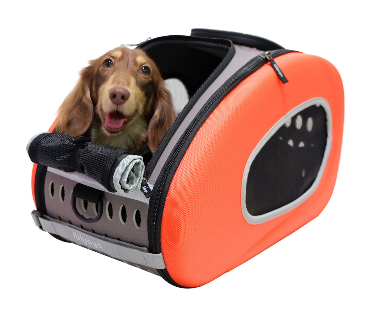 Ibiyaya Convertible Pet Carrier with Wheels - Tangerine