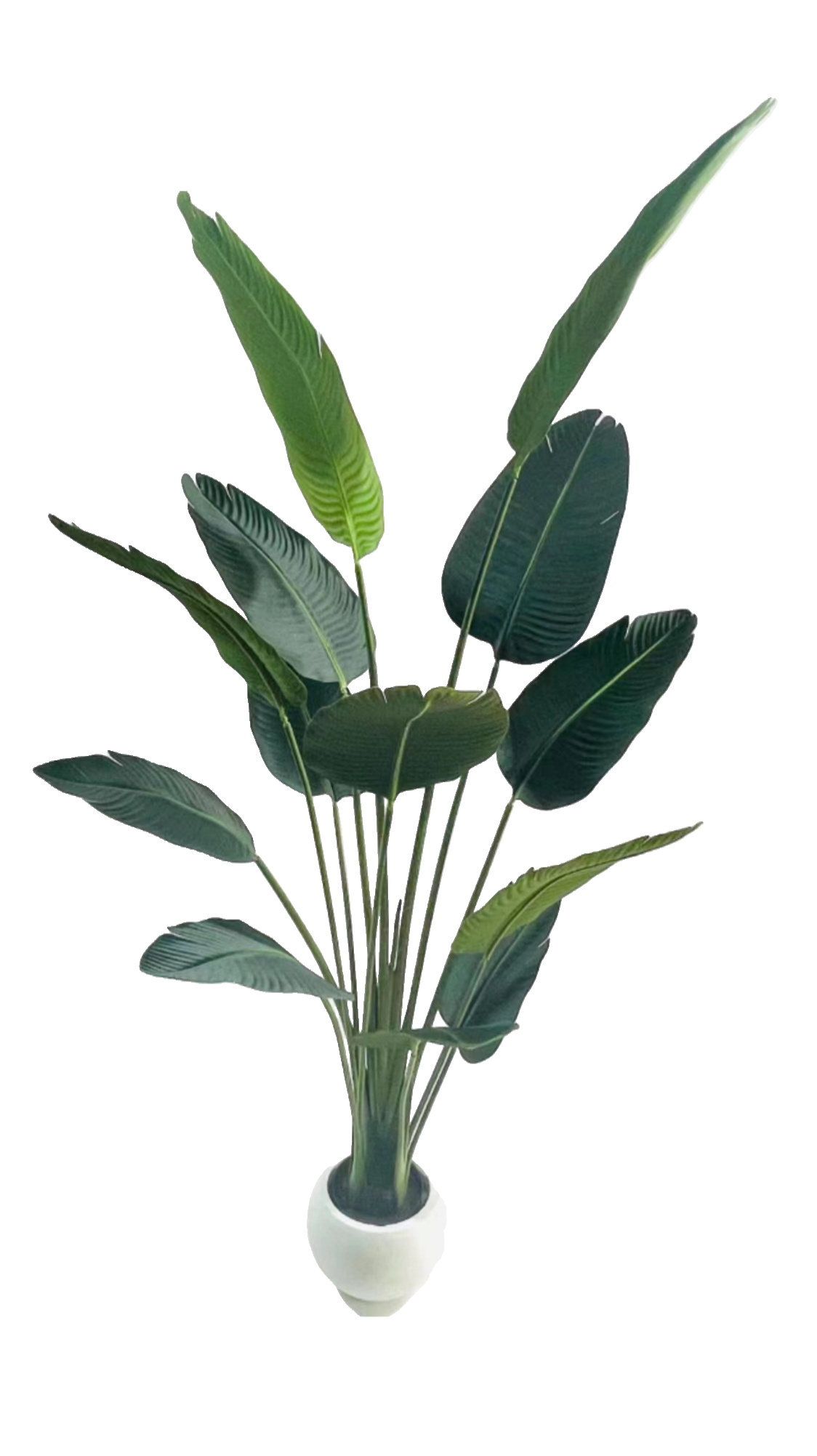 Artificial Bird of Paradise Plant - 180cm