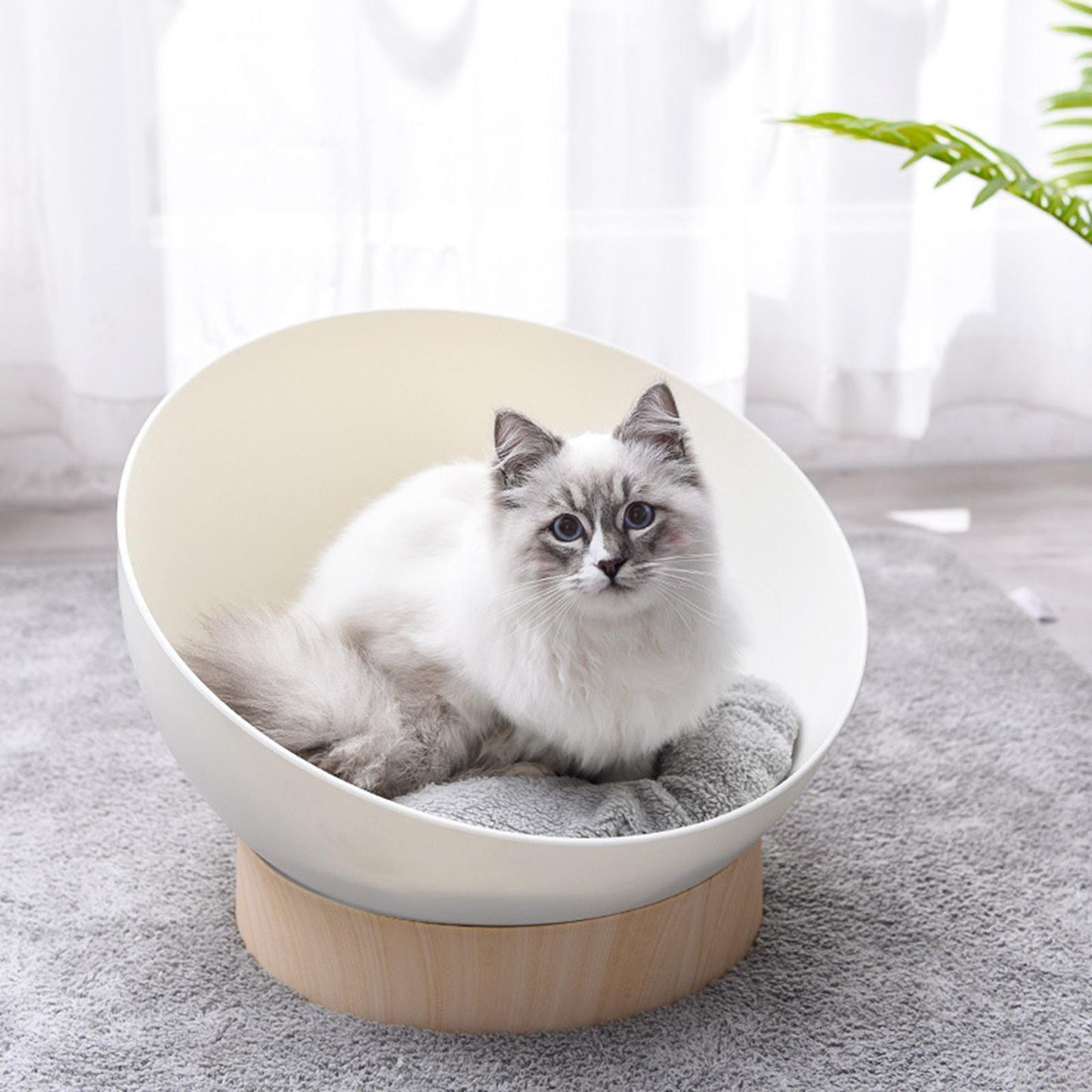 Cat Bed