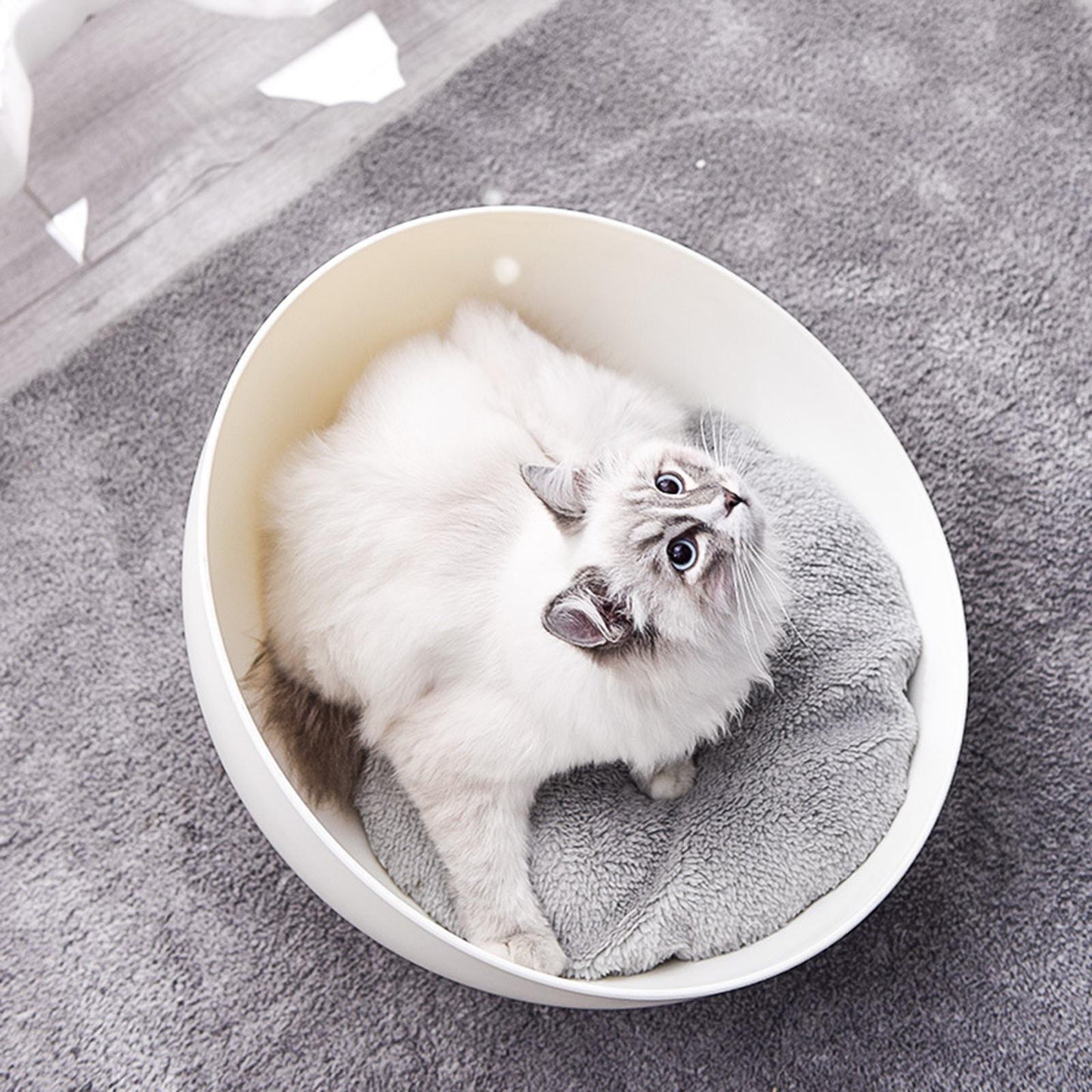 Cat nest