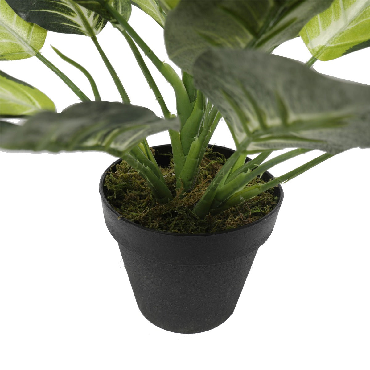 Artificial Leopard Lily (Dieffenbachia) with Pot 40cm
