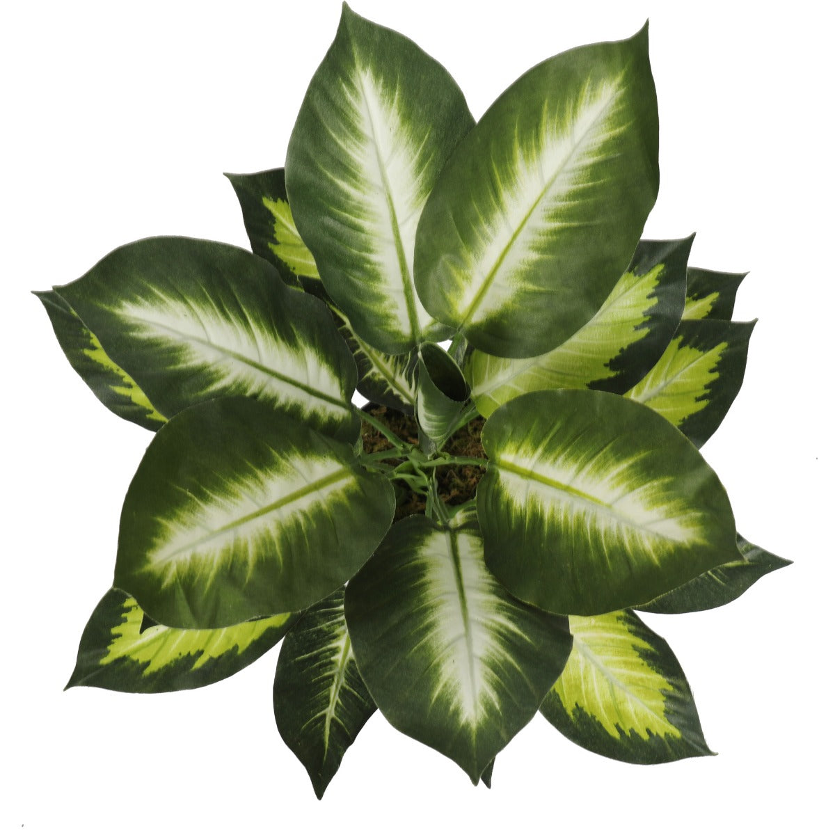 Artificial Leopard Lily (Dieffenbachia) with Pot 40cm