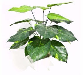 Artificial Lily Stem 32cm