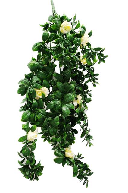 Hanging White Rose Stem Only