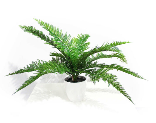 Artificial Dense Fern Stem