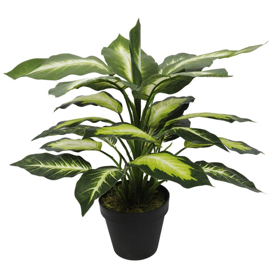 Artificial Leopard Lily (Dieffenbachia)