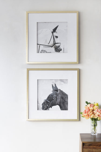 Horse Framed Prints Set of 2