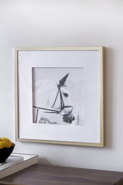 Horse Framed Prints Set of 2