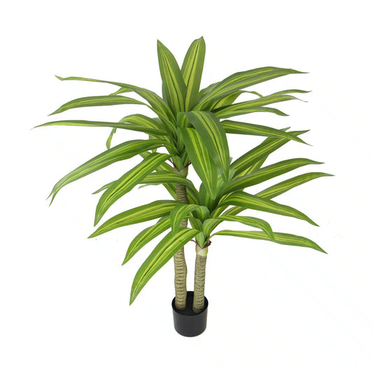 Yukka tree