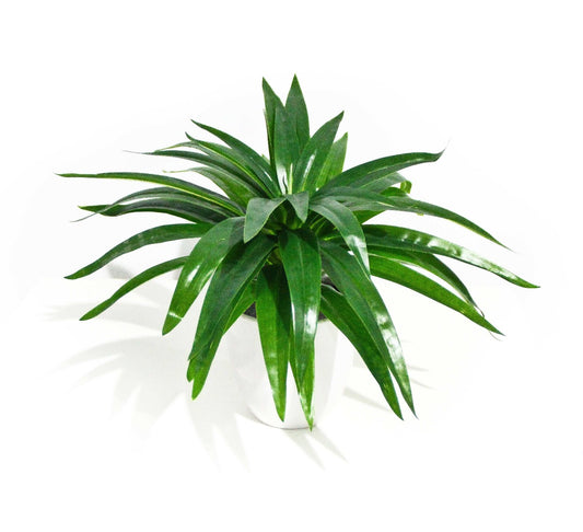 Artificial Aloe Vera Stem 30cm